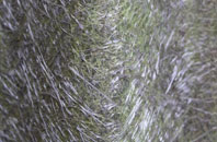 Wawne fibreglass roof work